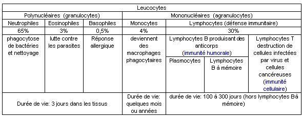 pourcentages relatifs des globules blancs dans le sang humain pourcentages relatifs des globules blancs dans le sang humain
