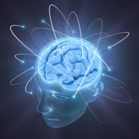 L'Esprit et le cerveau