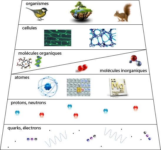 Pyramide de la complexité